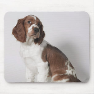 Springer spaniel mouse mat