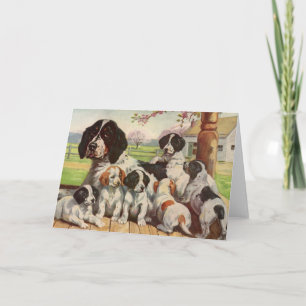 Springer spaniel mum and puppies card
