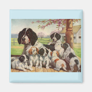 springer spaniel mum and puppies magnet