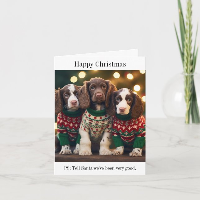 Springer Spaniel Puppies Christmas Card (Front)