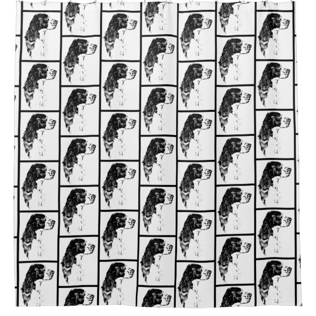 Springer Spaniel Vintage Art  Shower Curtain (Front)