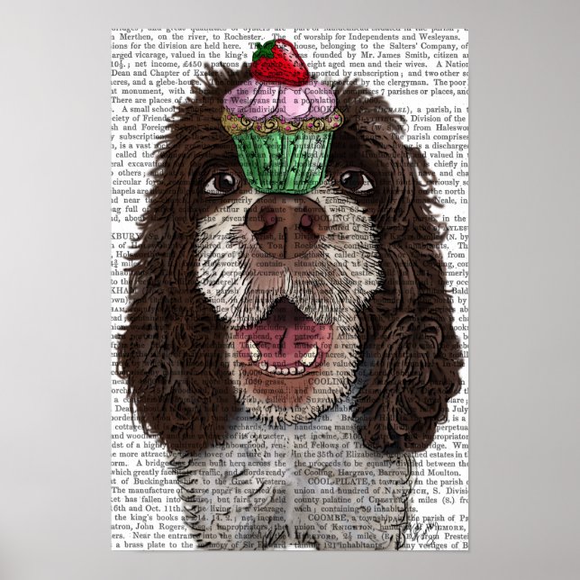 Springer Spaniel with Cupcake Poster (Front)