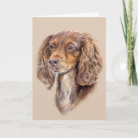 Springer Sprocker Cocker Spaniel Greetings Card