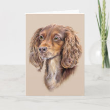 Springer Sprocker Cocker Spaniel Greetings Card