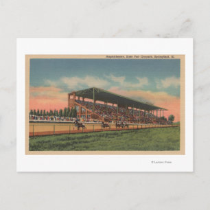 Springfield, IL - State Fair Grounds Horse Postcard