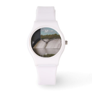 Springfield Lake Dam Watch