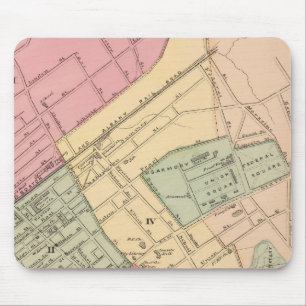 Springfield Mouse Mat
