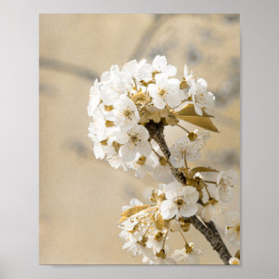 Spring's Ballet Dancing Blossoms in the Breeze Poster