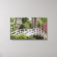 Spring's Bridge