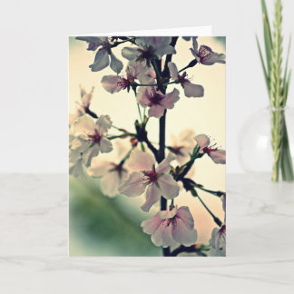 Spring's Delicate Dance (Blank Inside) Card