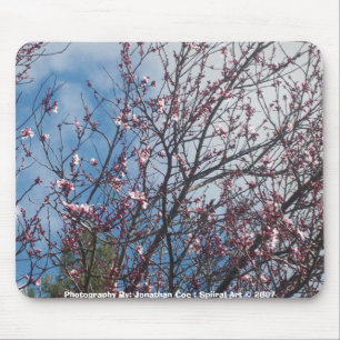 Spring's In Bloom mousepad
