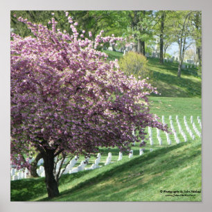 Springtime Again in Arlington National Cemetery Poster