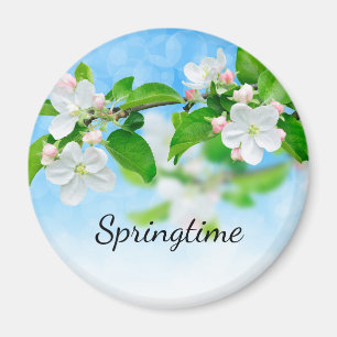 Springtime (apple flowers) magnet