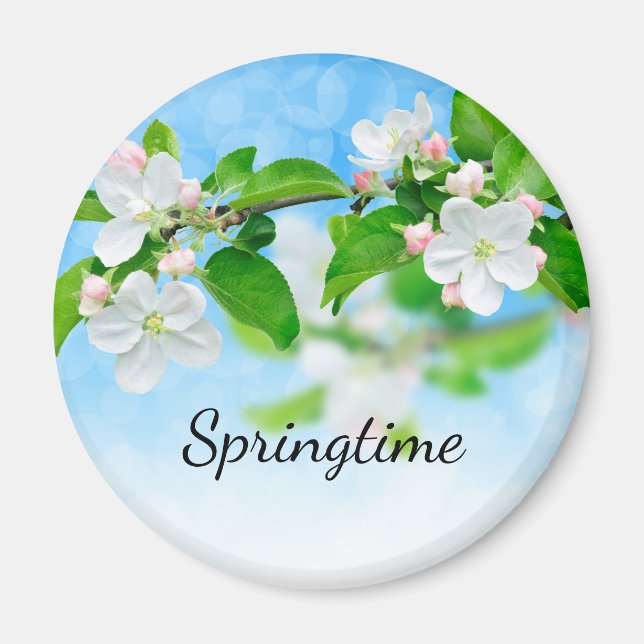 Springtime (apple flowers) magnet (Front)