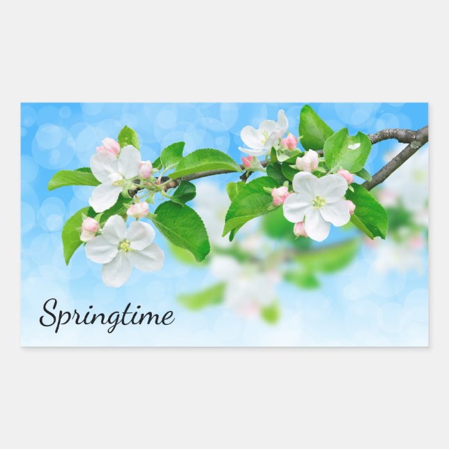 Springtime (apple flowers) rectangular sticker (Front)
