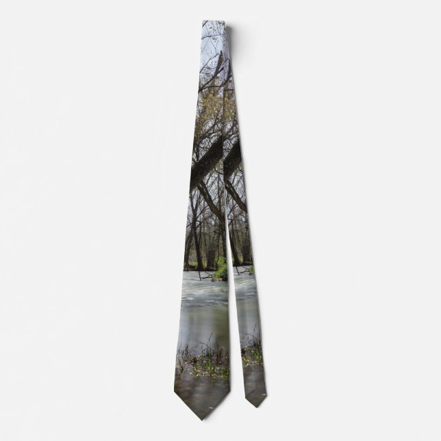 Springtime At Finley Neck Tie (Front)