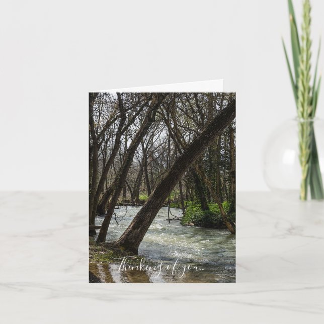 Springtime At Finley River Thinking Of You Card (Front)