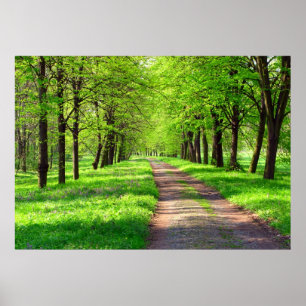 springtime avenue poster