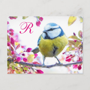 Springtime Bird Monogram Postcard