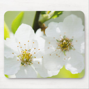 Springtime blooming mouse mat