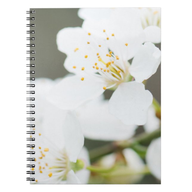 Springtime blooming notebook (Front)