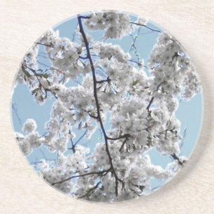 'Springtime Blossoms' Coaster