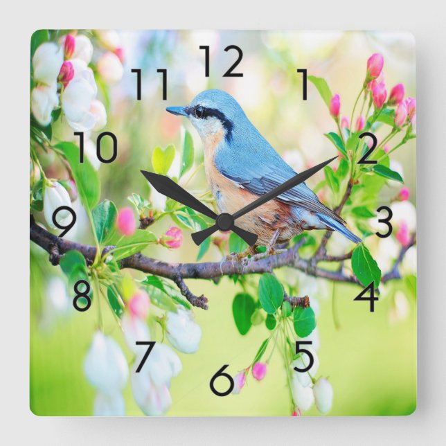 Springtime Blue Jay Square Wall Clock (Front)