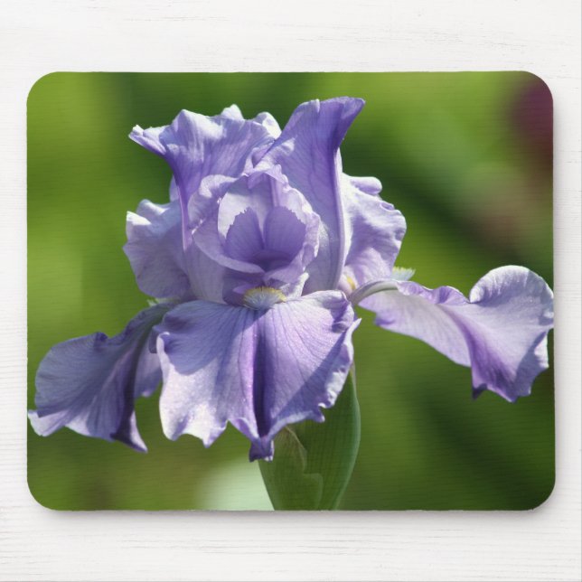 "Springtime Blues" Iris Photography Mouse Mat (Front)