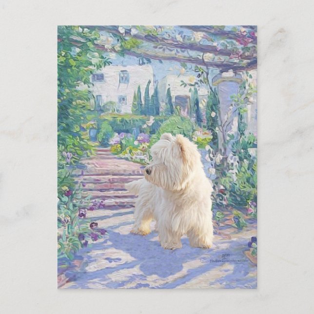 Springtime Bower Postcard (Front)