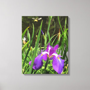 springtime canvas print