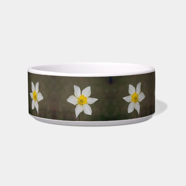 Springtime Cat Bowl (Left)