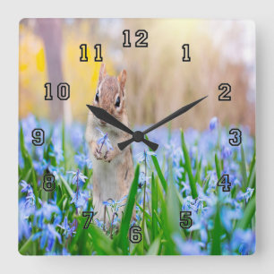 Springtime Chipmunk Square Wall Clock