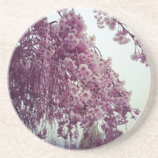 Springtime Coaster