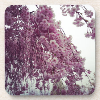 Springtime Coaster