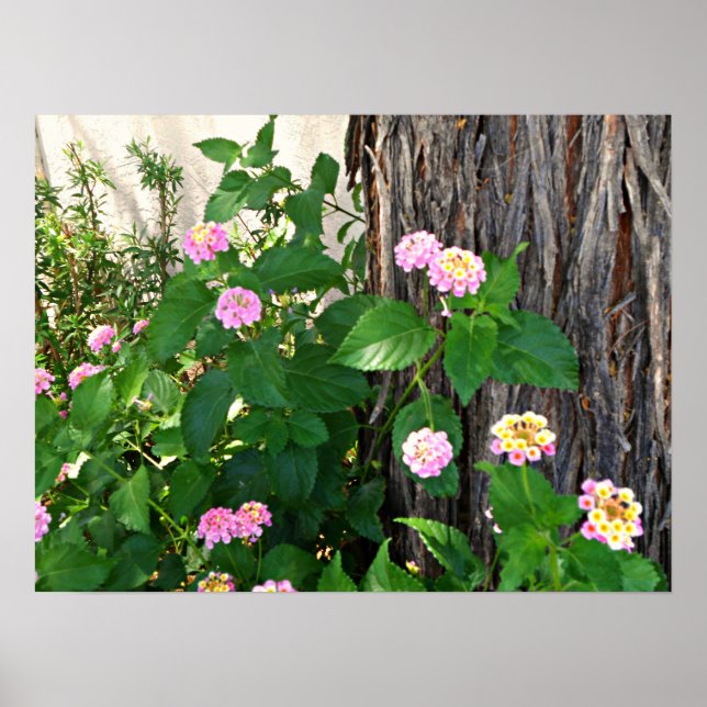 Springtime Duet Poster (Front)