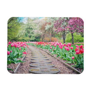 Springtime Flowers Along Stone Walkway Magnet