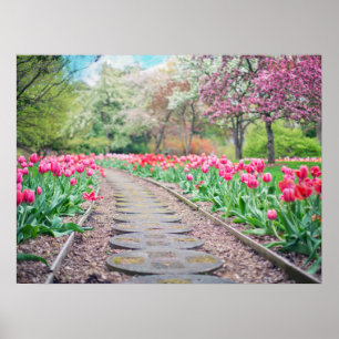 Springtime Flowers Along Stone Walkway Poster