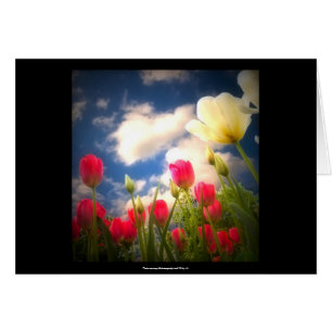 Springtime Flowers Collection I