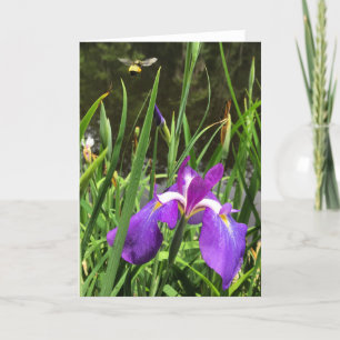 springtime greeting card #1