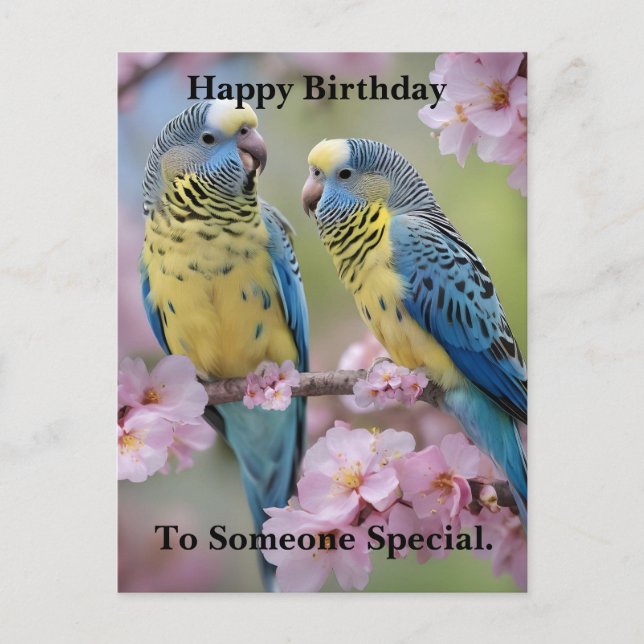 Springtime Harmony: Blue and Yellow Budgies  Postcard (Front)