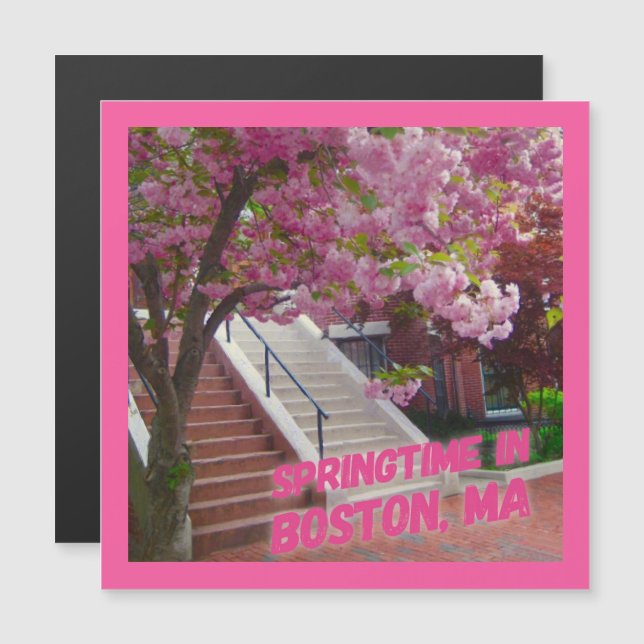 Springtime in Boston, MA (Front/Back)