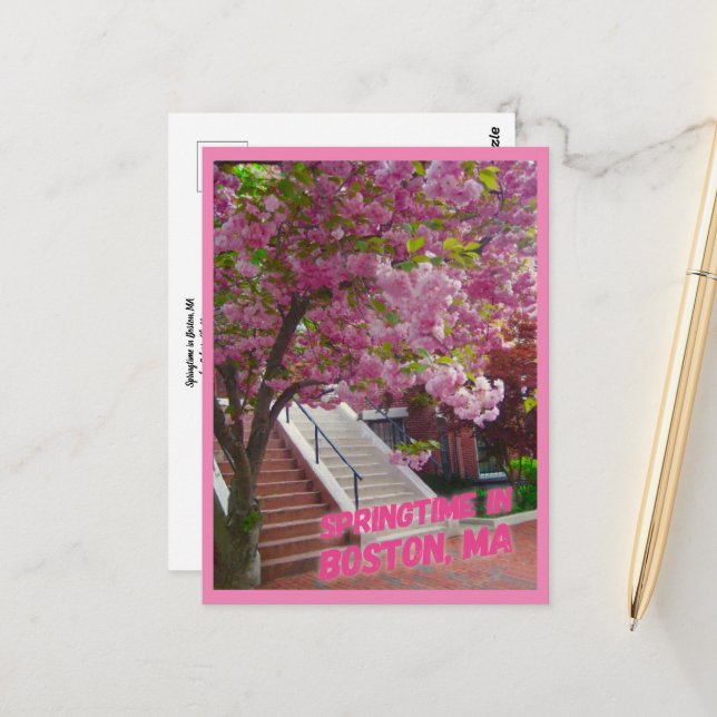 Springtime in Boston, MA Postcard (Front/Back In Situ)