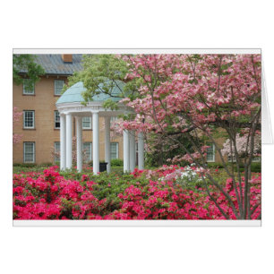 Springtime in Chapel Hill