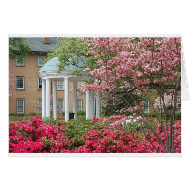 Springtime in Chapel Hill (Front Horizontal)