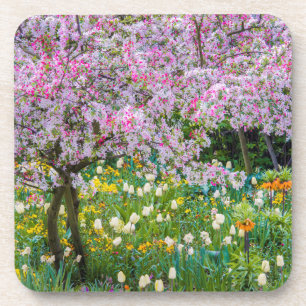 Springtime in Claude Monet's garden Coaster