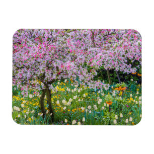 Springtime in Claude Monet's garden Magnet