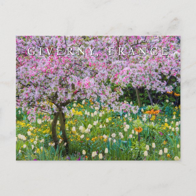 Springtime in Claude Monet's Garden | Thank You Postcard (Front)