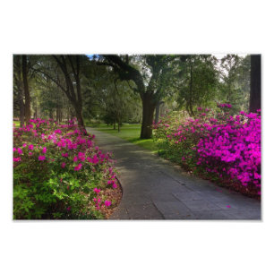 Springtime In Forsyth Park, Savannah Photo Print