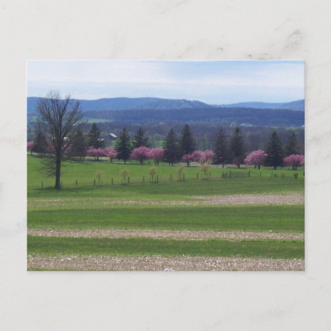 Springtime In Gettysburg Postcard (Front)