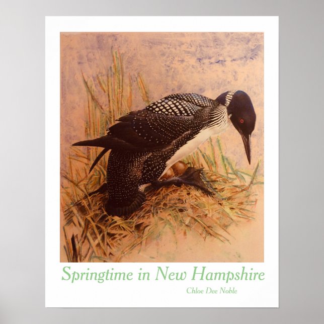 Springtime in New Hampshire by Chloe Dee Noble Poster (Front)